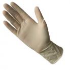 Latex Gloves (powder free)